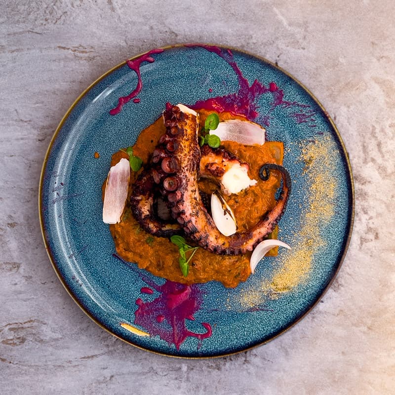 Octupus Tikka Masala